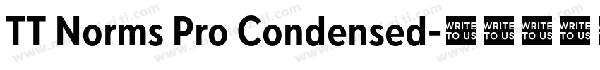 TT Norms Pro Condensed字体转换